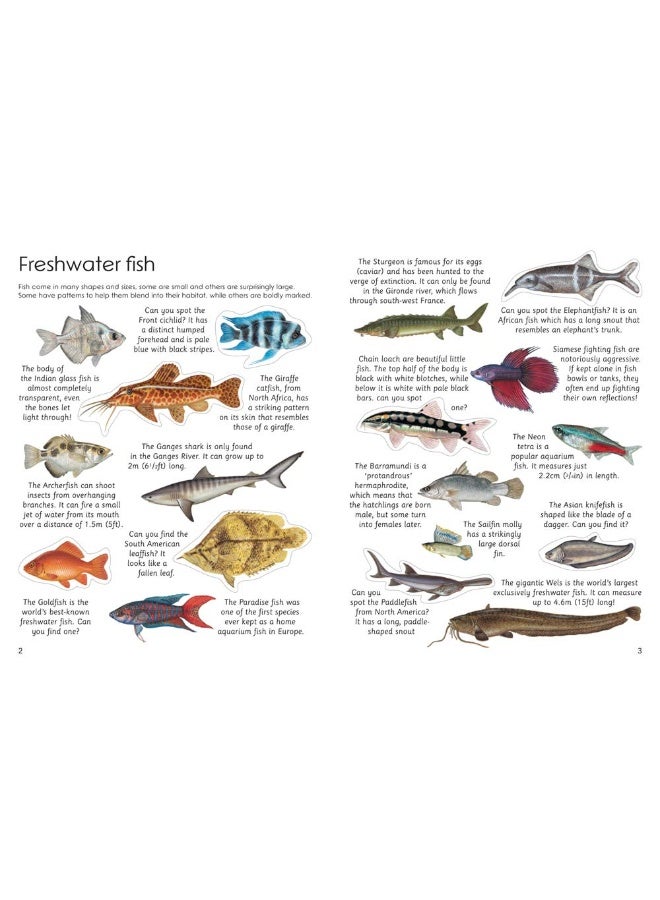 Ultimate Fish & Sea Life Sticker Book: with 100 amazing stickers - Image 2