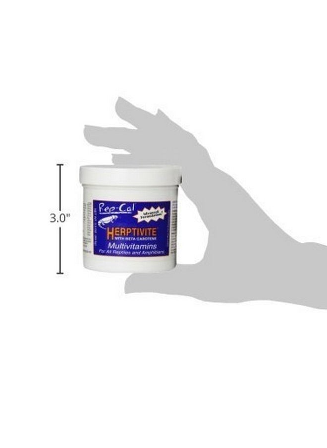 Rep-Cal - Rep Splmt Herptivite 3.3oz (Pack of 2) - Image 1