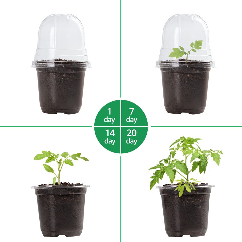 Bluepro 30 Packs 4 Inch Reinforced Clear Nursery Pots with Humidity Dome, Transparent Plastic Plant Pot Seedling Planter with Drainage Holes for Vegetable Propagation, Root Cutting, Seed Starting - Image 5