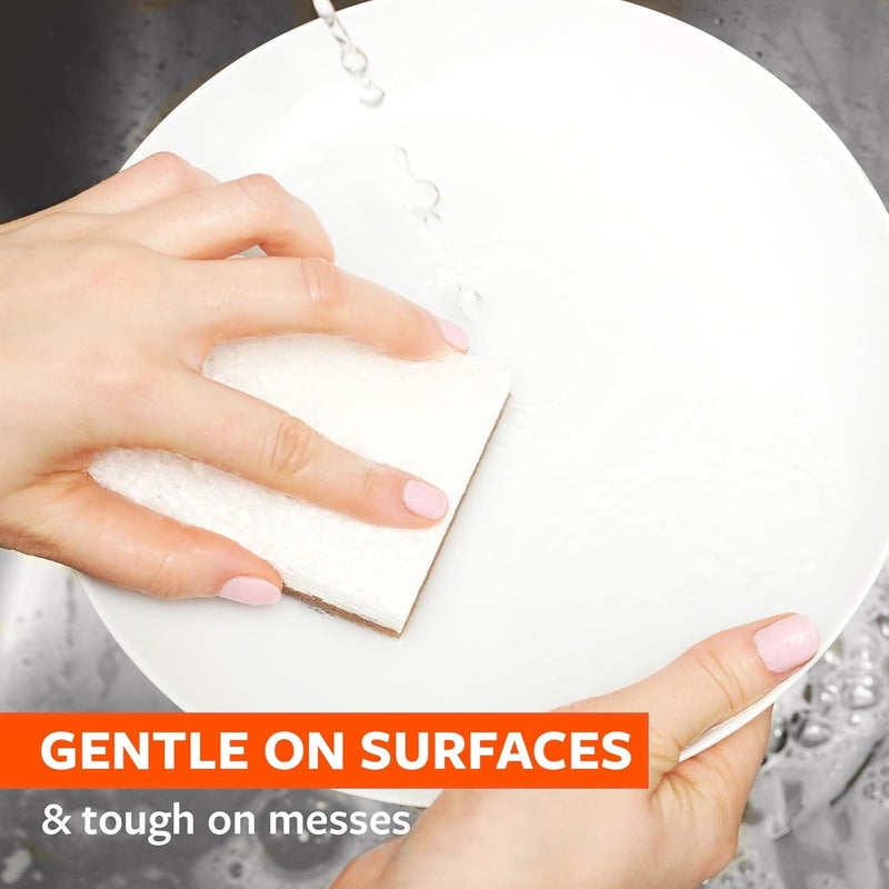 Full Circle In A Nutshell Walnut Shell Scrubber Sponges - Pack of 2 Non-Scratch Natural Kitchen Scrubbies for Dishes and Household Cleaning - Image 3