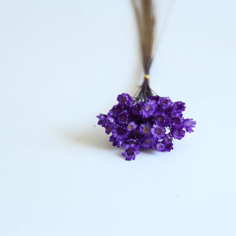 Bluejw Little Star Flower Bouquet - Beautiful Dried Plants for Wedding Decorations, Holiday Supplies, High Quality - Image 1