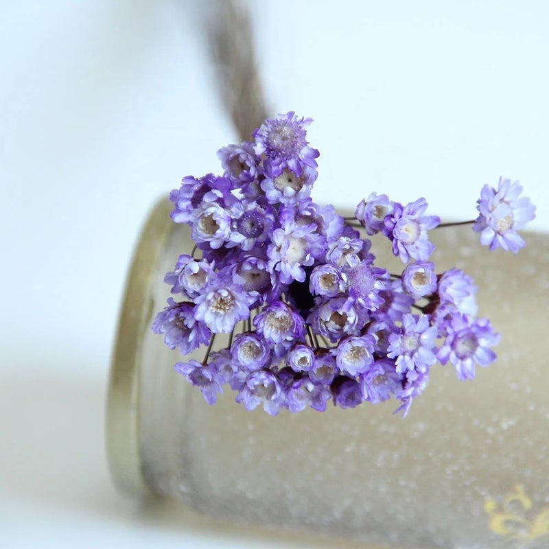 Bluejw Little Star Flower Bouquet - Beautiful Dried Plants for Wedding Decorations, Holiday Supplies, High Quality - Image 5