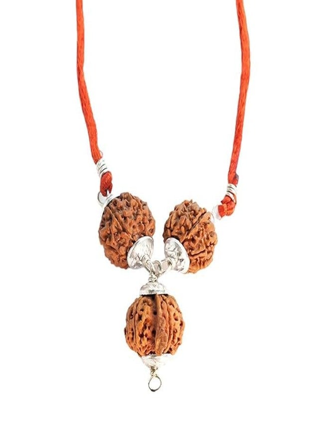 DEVAMA THE DIVINE Rudralife 7 Mukhi Ganesh Rudraksha Necklace, Orange Thread, 45 cm, Lab Certified, Traditional Religious Pendant - Image 1