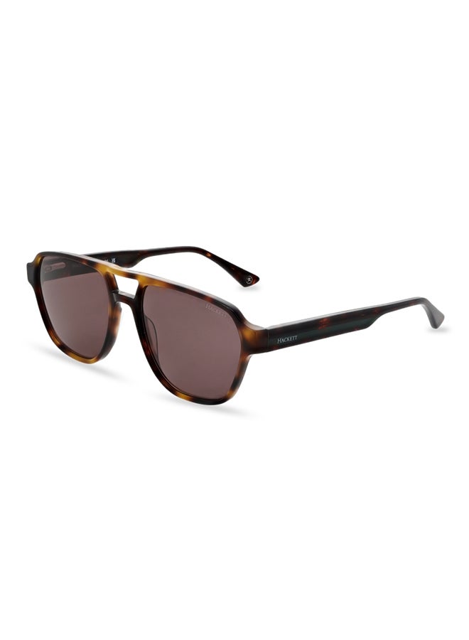 Hackett Men's Square Sunglasses - HSK3345 - Lens Size: 55 Mm