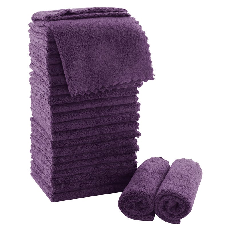 MOONQUEEN Ultra Soft Premium Washcloths Set  12 x 12 inches  24 Pack  Quick Drying  Highly Absorbent Coral Velvet Bathroom Wash Clothes  Use as Bath Spa Facial Fingertip Towel Plum