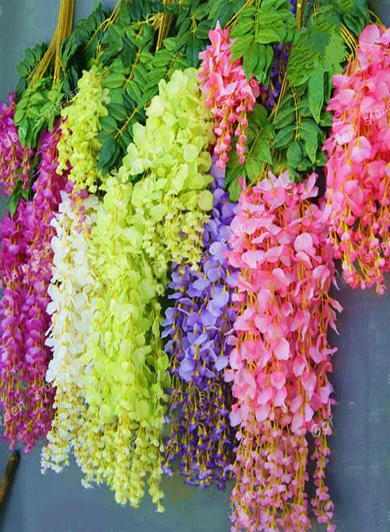 GGOOT 100Pcs/Bag Wisteria Tree Seeds Decorative Vibrant Mixed Color Fast Growing Plant Seeds for Balcony Garden Plant Seeds Wisteria Seeds - Image 1