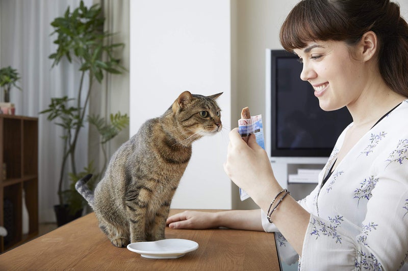 Inaba Usa501 Ciao Grilled Cat Treat With Added Vitamin E, One Size/0.5 Oz - Image 5