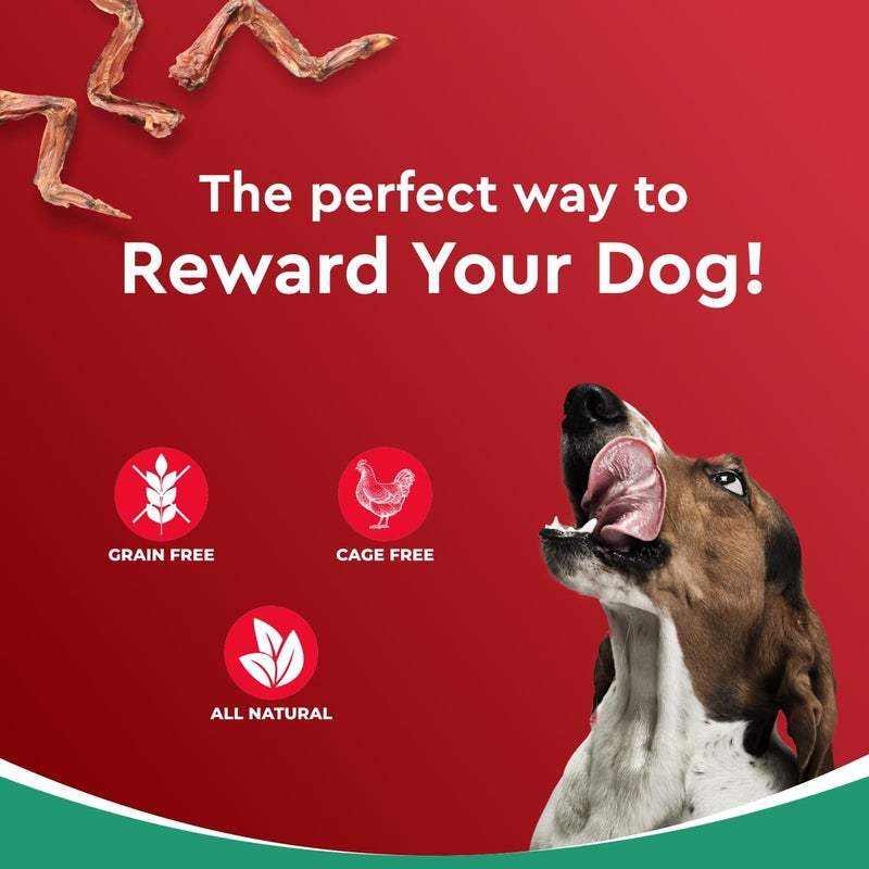 Drools Real Chicken Chews - Dehydrated Chicken Wings for Dogs - Image 5