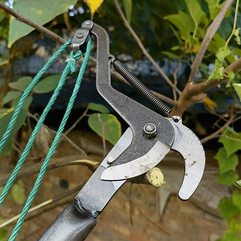 Ximimark 1pc Branch Cutter Tree Trimmer Cuts, Tree Trimmer Gardening Tool, Trim Dead Tree Branches, Fruit Picker Tool - Image 4