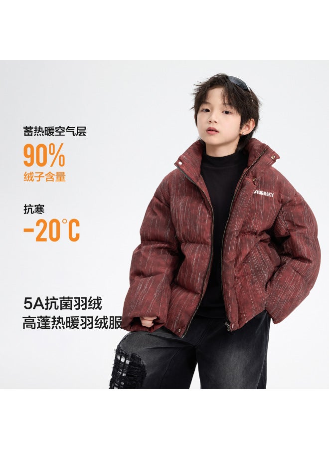 Boys' Winter 90% Safe Velvet Short Stand Collar Puffer Jacket  New Children's Thickened Cold-proof Coat
