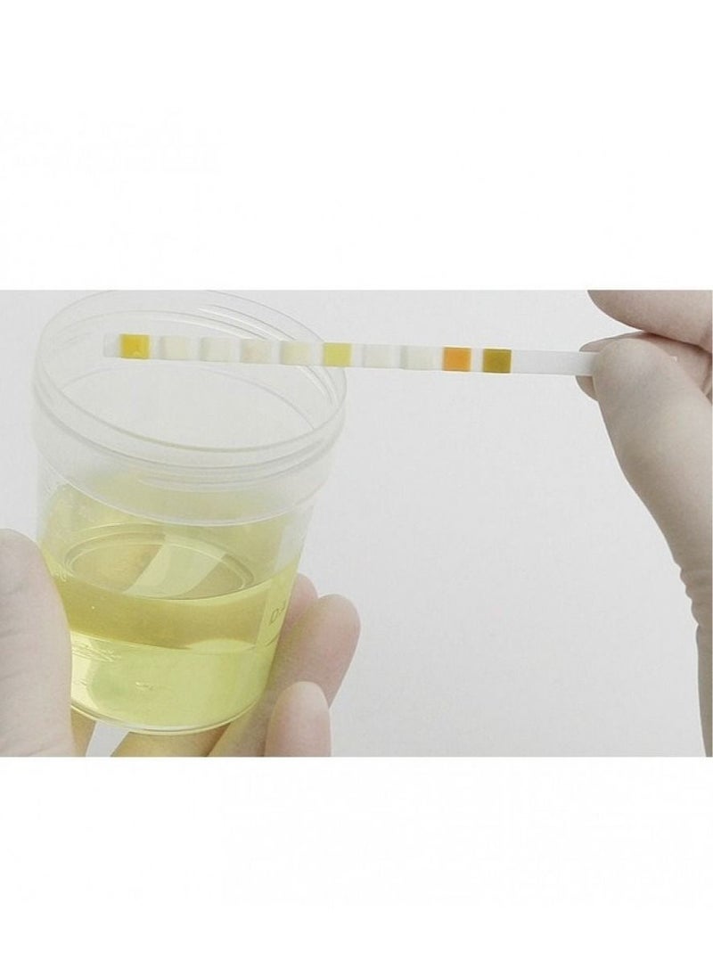 Roche - 10 Parameter Diagnostics Combur 10 Urine Test 100 Pieces Original - Image 1