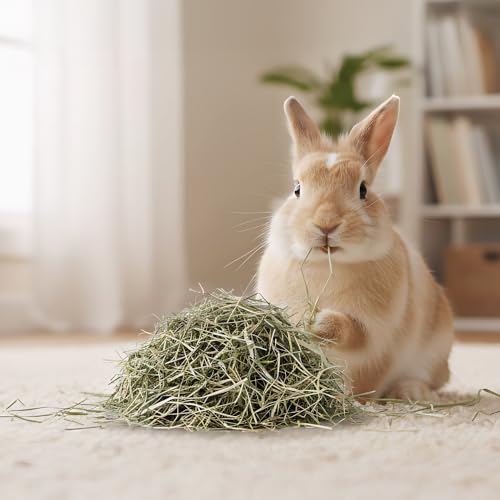Vitapol Vita Herbal Hay for Rabbits & Rodents | Best Natural Polish Meadow Grass with Chamomile | High Fiber Digestive & Dental Care | (500 Gram, Pack of 2) - Image 5