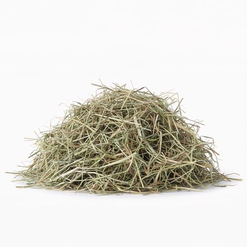 Vitapol Vita Herbal Hay for Rabbits & Rodents | Best Natural Polish Meadow Grass with Chamomile | High Fiber Digestive & Dental Care | (500 Gram, Pack of 2) - Image 4