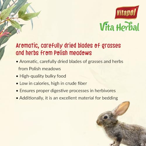 Vitapol Vita Herbal Hay for Rabbits & Rodents | Best Natural Polish Meadow Grass with Chamomile | High Fiber Digestive & Dental Care | (500 Gram, Pack of 2) - Image 2