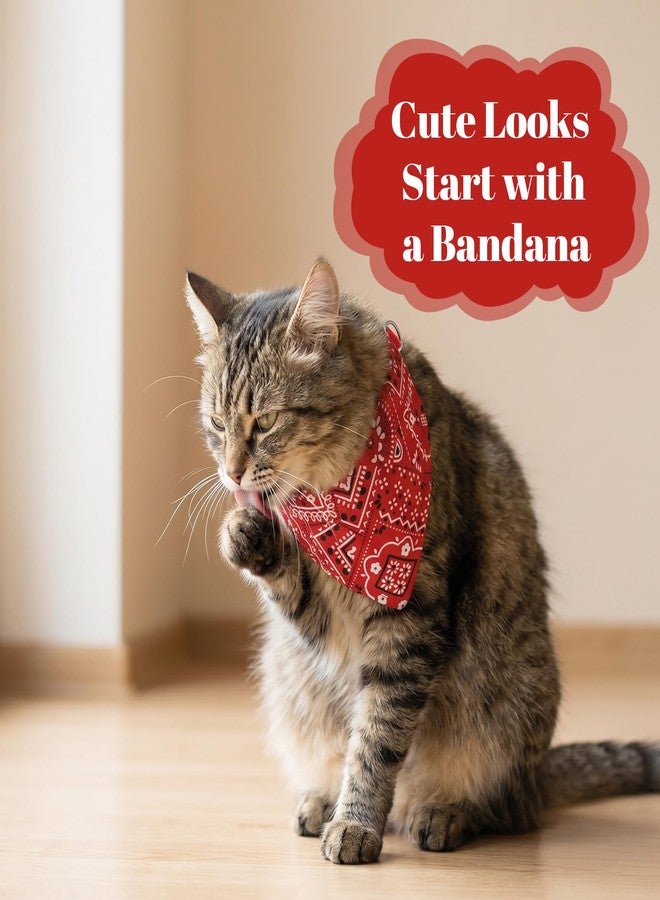Thrymme 2 Pcs Cat Bandana Collar, Adjustable Cat Scarf Bandana for Cats, Soft Polyester Pet Triangle Collar for Kittens Small Dogs, Red & Blue(S) - Image 5