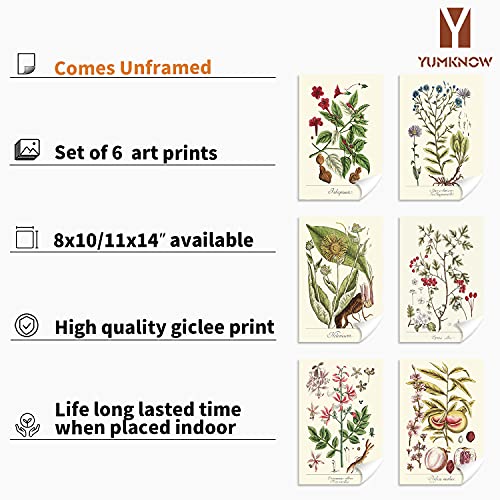 YUMKNOW Farmhouse Vintage Botanical Wall Decor - Unframed Set of 6, 11x14, Boho Cottegecore Plant Leaves Room Decor for Bathroom, Bedroom Art Posters Prints, Aesthetic Flower Pictures Office Kitchen - Image 2