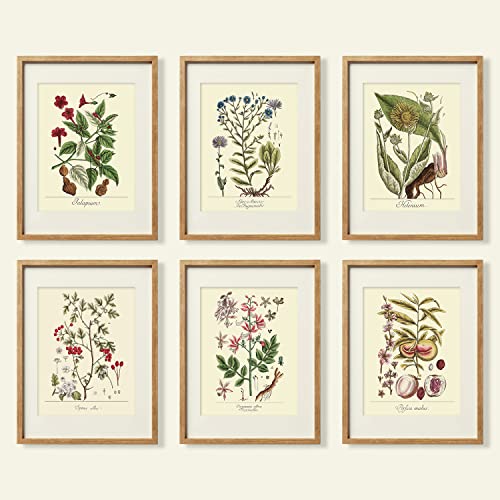 YUMKNOW Farmhouse Vintage Botanical Wall Decor - Unframed Set of 6, 11x14, Boho Cottegecore Plant Leaves Room Decor for Bathroom, Bedroom Art Posters Prints, Aesthetic Flower Pictures Office Kitchen - Image 1