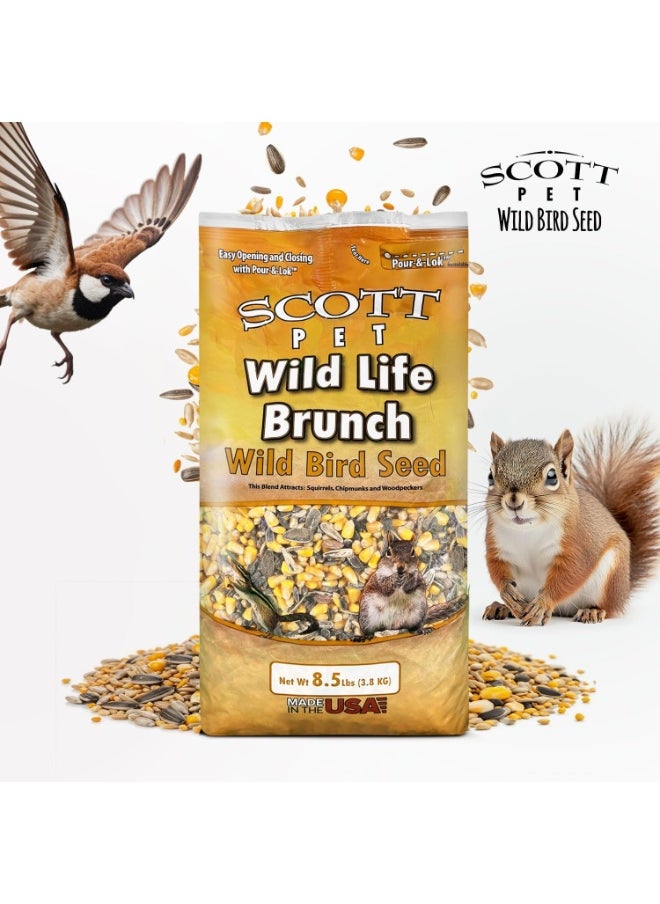 Scott Scott Pet Wild Bird Seed, Wildlife Brunch Blend, 8.5 lbs Bag, No Mess, Feed, Great for Platform Feeders, Food for Outside Wild Birds  - Image 3
