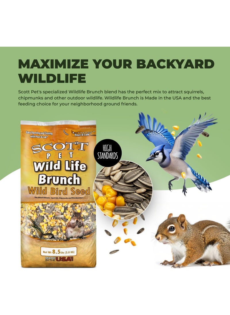 Scott Scott Pet Wild Bird Seed, Wildlife Brunch Blend, 8.5 lbs Bag, No Mess, Feed, Great for Platform Feeders, Food for Outside Wild Birds  - Image 4