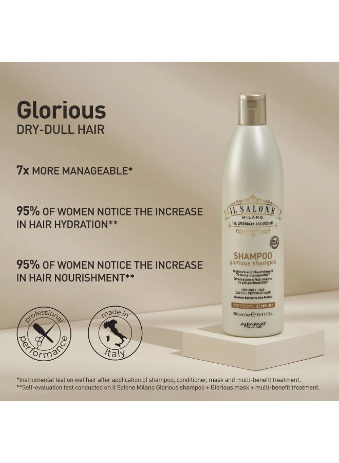 IL SALONE Protein Shampoo Dry Dull Hair 500ml - Image 4
