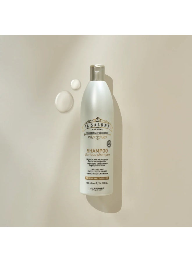 IL SALONE Protein Shampoo Dry Dull Hair 500ml - Image 5