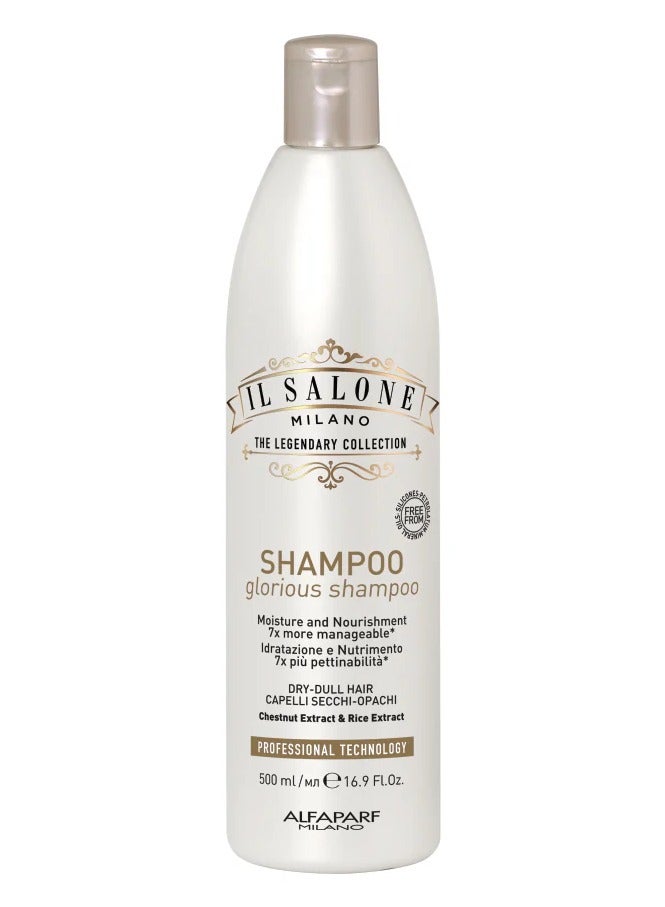 IL SALONE Protein Shampoo Dry Dull Hair 500ml - Image 1