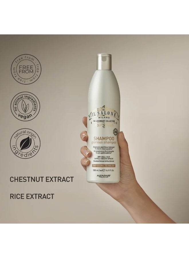 IL SALONE Protein Shampoo Dry Dull Hair 500ml - Image 2