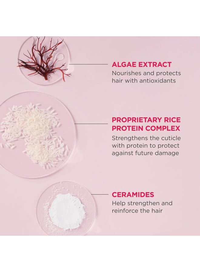 Briogeo Don't Despair, Repair! Rich Rice Shampoo Concentrate, Protein Shampoo for Severely Damaged Hair, Water-Activated Concentrate Shampoo, Vegan, Cruelty-Free, 3 fl oz - Image 4