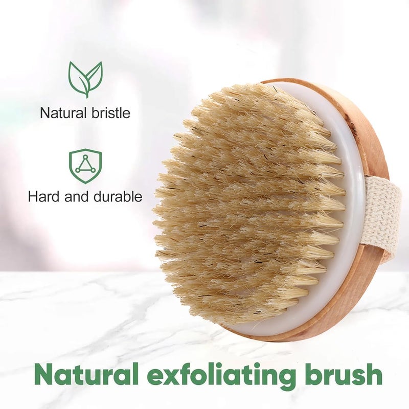 ToolHouse Wooden Body Brush for Dry and Wet Brushing, Exfoliating Massaging Bath Brush, Body Scrubber Shower Brush for Dead Skin and Radiant Skin, Suitable for All Kinds of Skin - Image 3