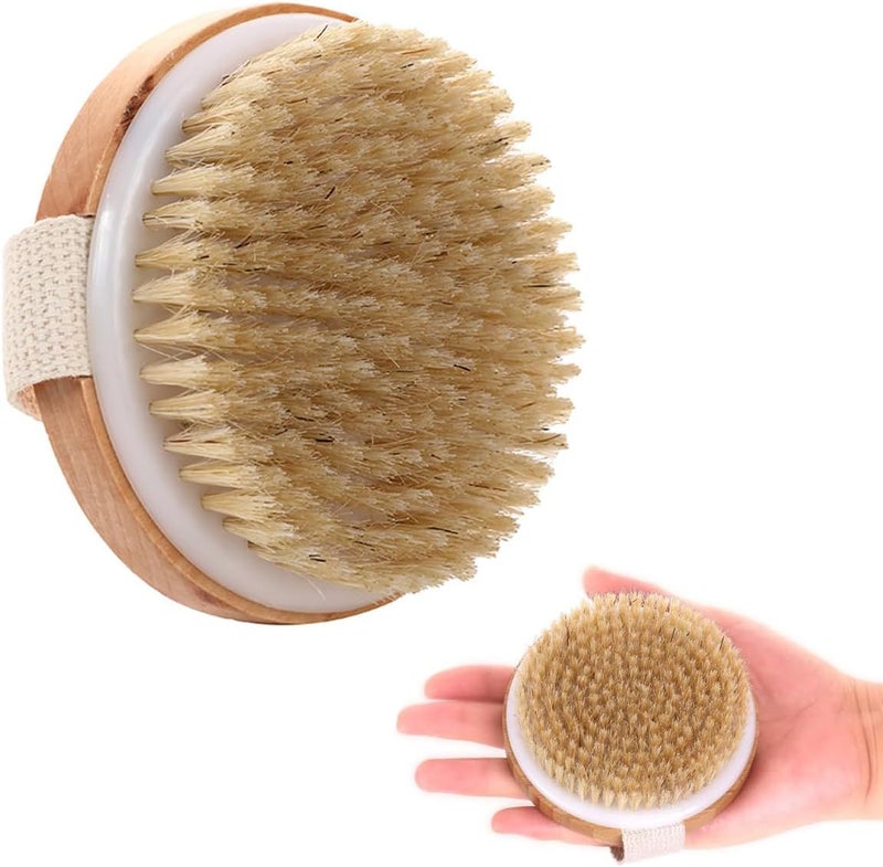 ToolHouse Wooden Body Brush for Dry and Wet Brushing, Exfoliating Massaging Bath Brush, Body Scrubber Shower Brush for Dead Skin and Radiant Skin, Suitable for All Kinds of Skin - Image 1
