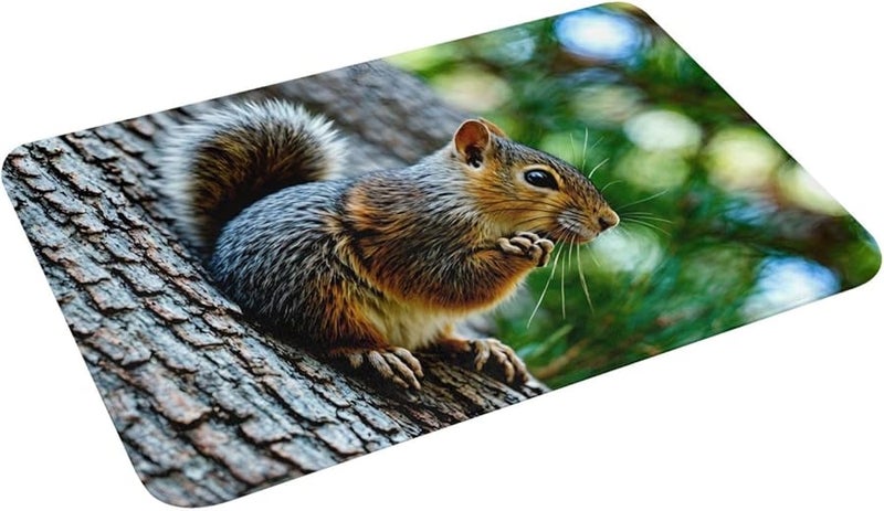 PHAYAH Squirrel Doormat 16x24 Inches Indoor Outdoor Front Door Mat for Patio Garage Porch - Image 4