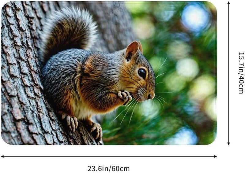 PHAYAH Squirrel Doormat 16x24 Inches Indoor Outdoor Front Door Mat for Patio Garage Porch - Image 2