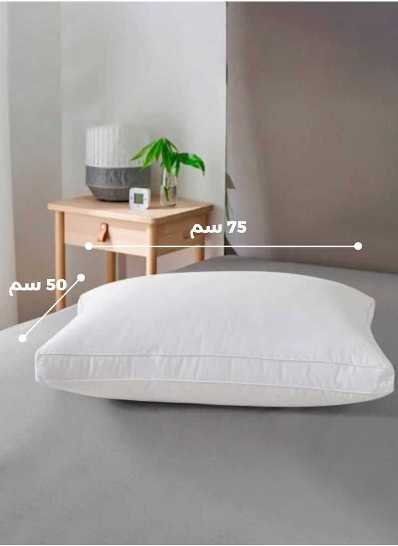 Sleep x Factory - Hotel Sleeping Pillow - Image 1