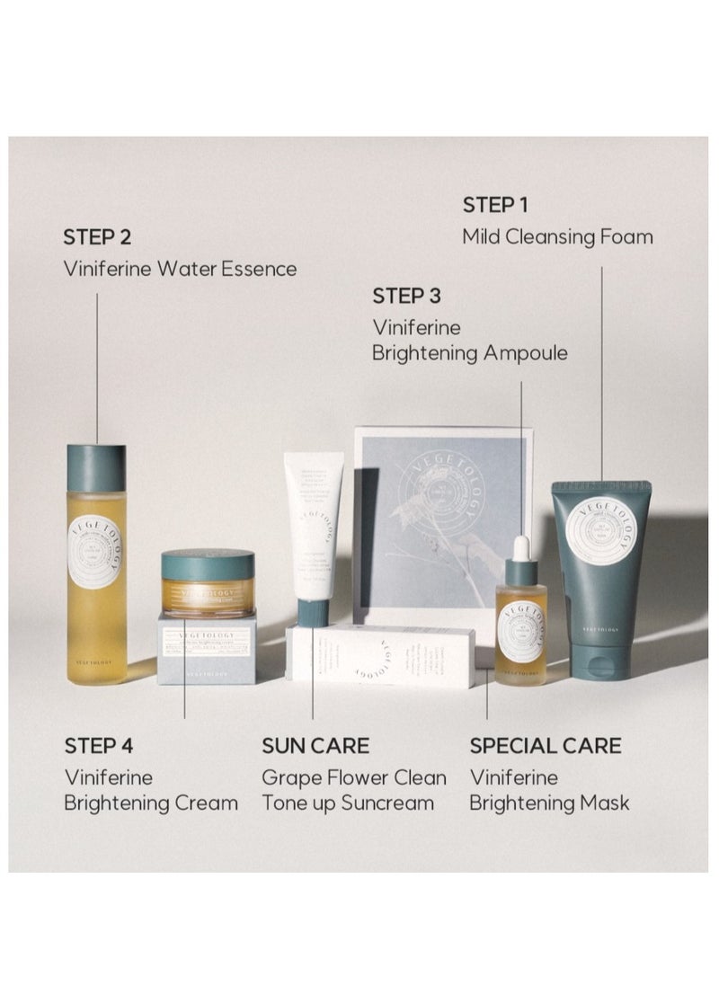 Vegetology Mild Cleansing Foam 150ml | Mildly Acidic Cleansing Foam Gentle Care Formula Cleanser For Sensitive Skin With Natural Ingredients |Skin Texture Boosting  - Image 4