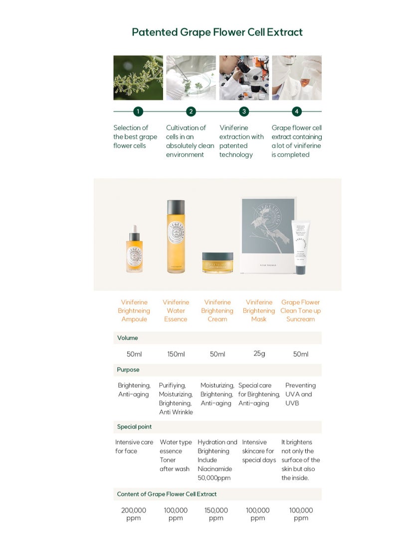 Vegetology Mild Cleansing Foam 150ml | Mildly Acidic Cleansing Foam Gentle Care Formula Cleanser For Sensitive Skin With Natural Ingredients |Skin Texture Boosting  - Image 5