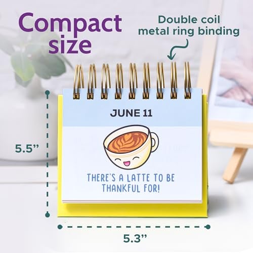 T MARIE Punny Motivational Desk Calendar - Daily Perpetual Calendar to Use Year after Year - Cute Office Decor, Positive Affirmation Gifts for Women and Men, Inspirational Desk Accessories - Image 5