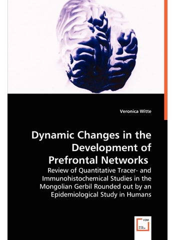 Dynamic Changes in the Development of Prefrontal Networks - pzsku/Z3C4A29318C6C7F81CF43Z/45/1749123065/5610cb70-ea3d-45ab-9d57-b62746408381