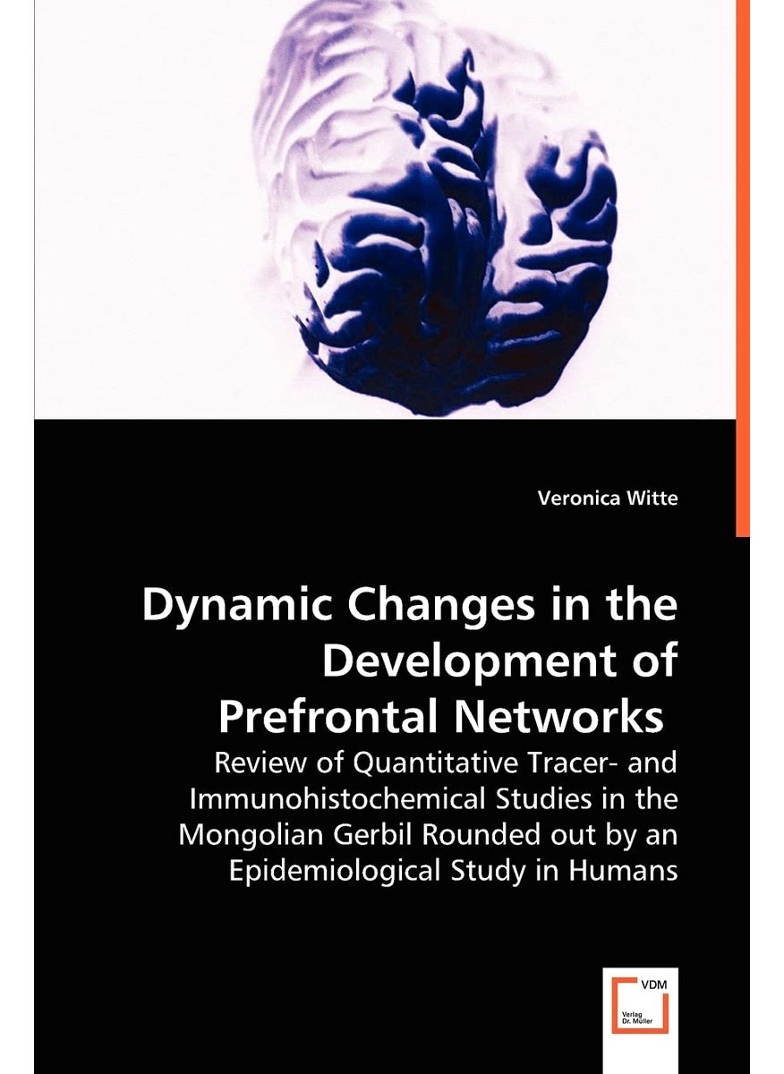 Dynamic Changes in the Development of Prefrontal Networks  - Image 1