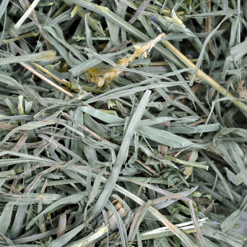 Oxbow Organic Meadow Hay, Guinea Pig & Rabbit Hay, Small Pet Bunny Supplies, All Natural Grass for Guinea Pig, Bunny, Chinchilla & Hamster, Rabbit Supplies for Bunnies, 40 oz Bag - Image 5