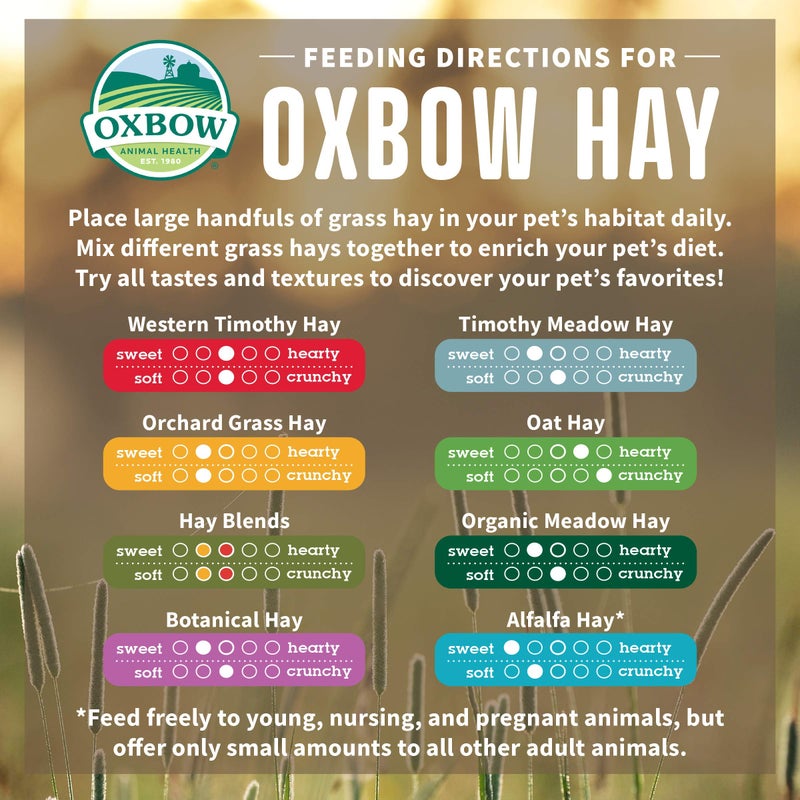 Oxbow Organic Meadow Hay, Guinea Pig & Rabbit Hay, Small Pet Bunny Supplies, All Natural Grass for Guinea Pig, Bunny, Chinchilla & Hamster, Rabbit Supplies for Bunnies, 40 oz Bag - Image 4