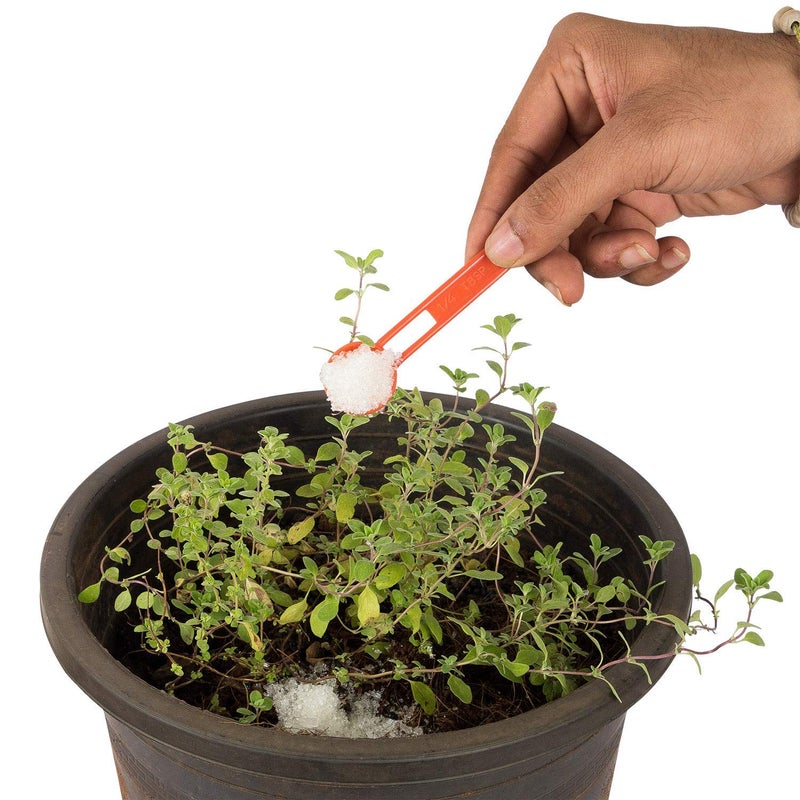 Creative Farmer Epsom Salt 2Kg Pure Organic Magnesium Sulphate Plant Food 1 Soil Manure - Image 5