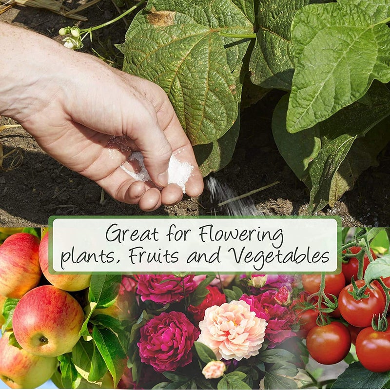 Creative Farmer Epsom Salt 2Kg Pure Organic Magnesium Sulphate Plant Food 1 Soil Manure - Image 4