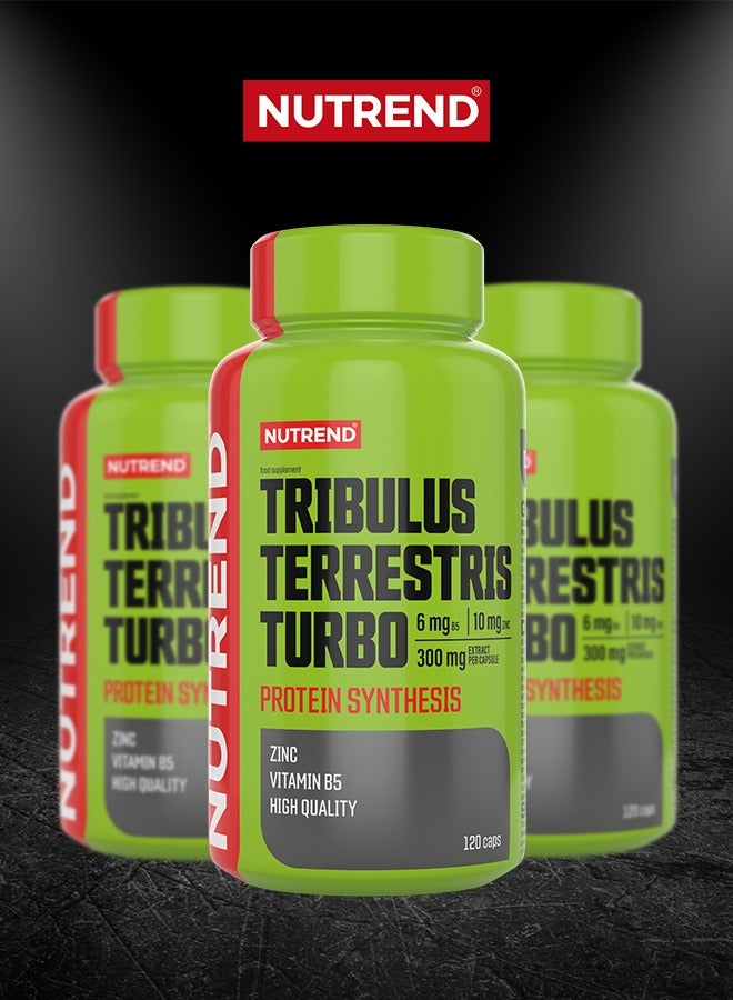 NUTREND Tribulus Terrestris Turbo – 120 Capsules – Natural Testosterone Booster for Strength, Vitality, and Muscle Growth  - Image 4