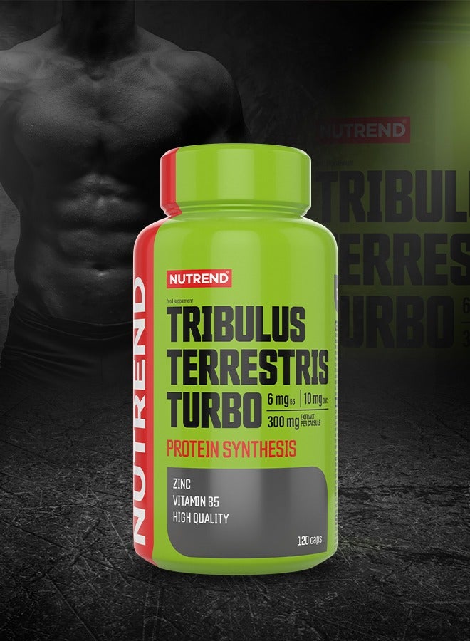 NUTREND Tribulus Terrestris Turbo – 120 Capsules – Natural Testosterone Booster for Strength, Vitality, and Muscle Growth  - Image 5