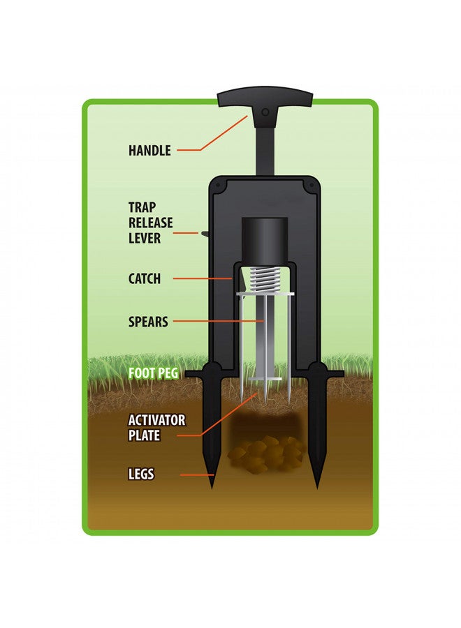Victor M9015 Easy-to-Set Deadset Mole Trap and Killer - Image 4