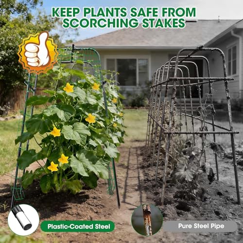 MQUPIN Cucumber Trellis for Raised Bed and Garden, 47" H x 31" W U-Shaped Metal Garden Trellis for Climbing Plants with Nylon Netting, Vegetable Support Frame - Image 5