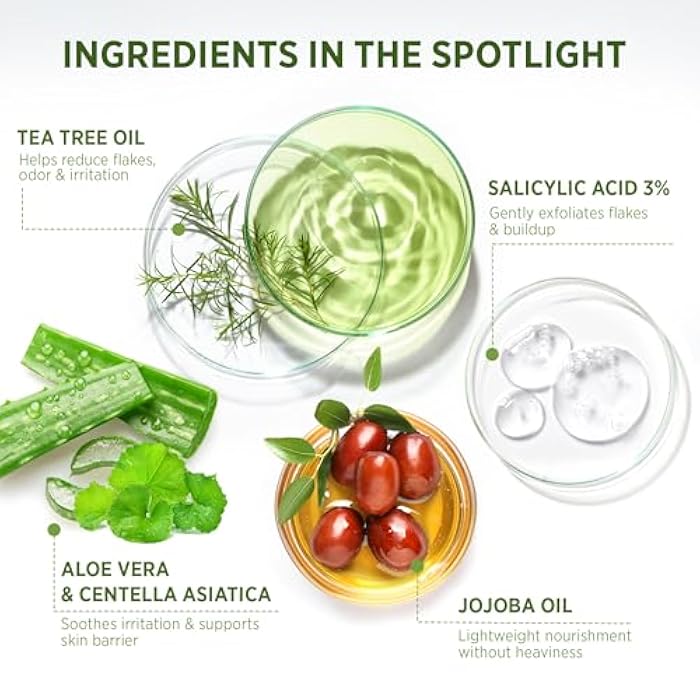 Roycederm Tea Tree Therapeutic Set: Shampoo, Conditioner & Body Wash - Image 5