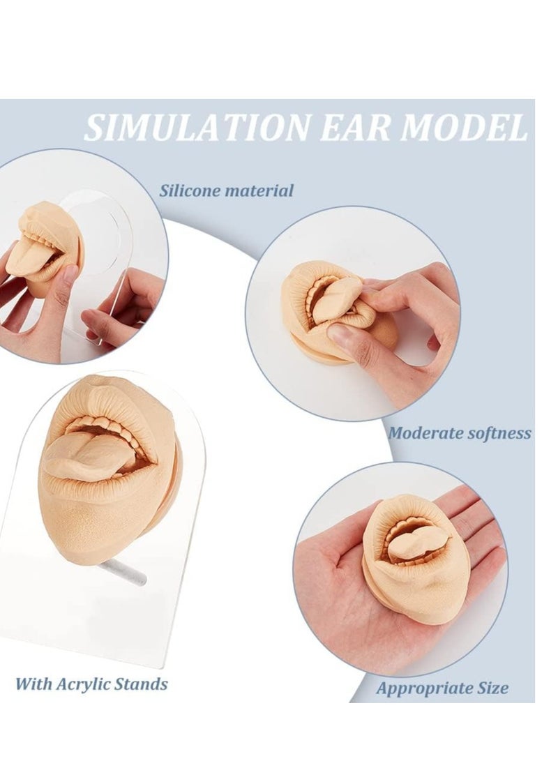 KASTWAVE Silicone Tongue Mouth Model, Flexible Model Body Part Display with Acrylic Stand Lifelike Human Model Simulation for Jewelry Display Teaching Tool Earrings Practice (Skin Color)  - Image 4