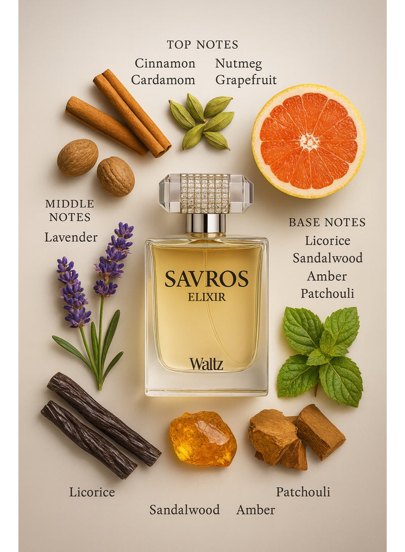 Waltz عطر والتز سافروس إليكسير للرجال - أو دو برفيوم 100 مل - Image 2