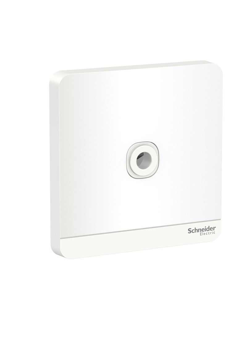 Schneider Avataron 25Ax250V 1Gang Conn Unit